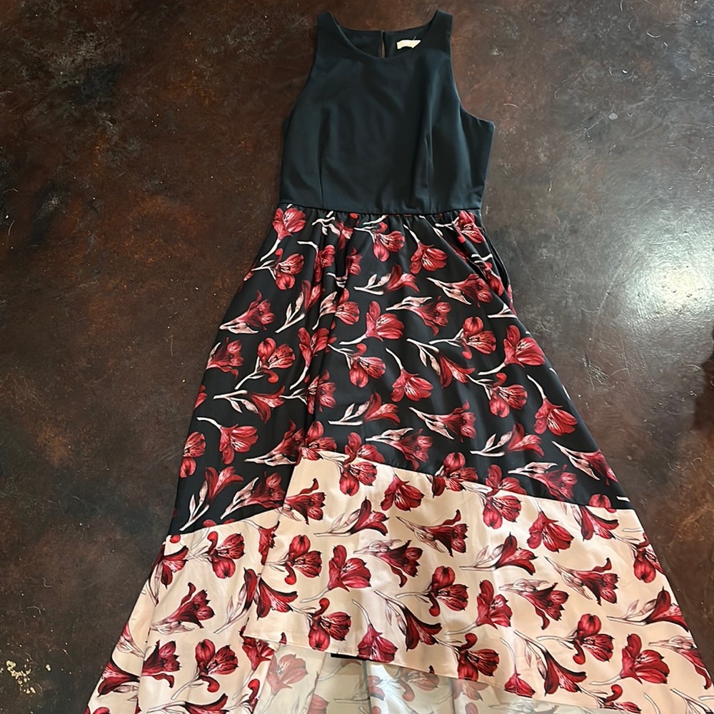Hutch hi low dress